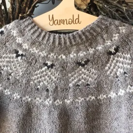 Yarnold in the Meadow children's sweater Knitting Bundle