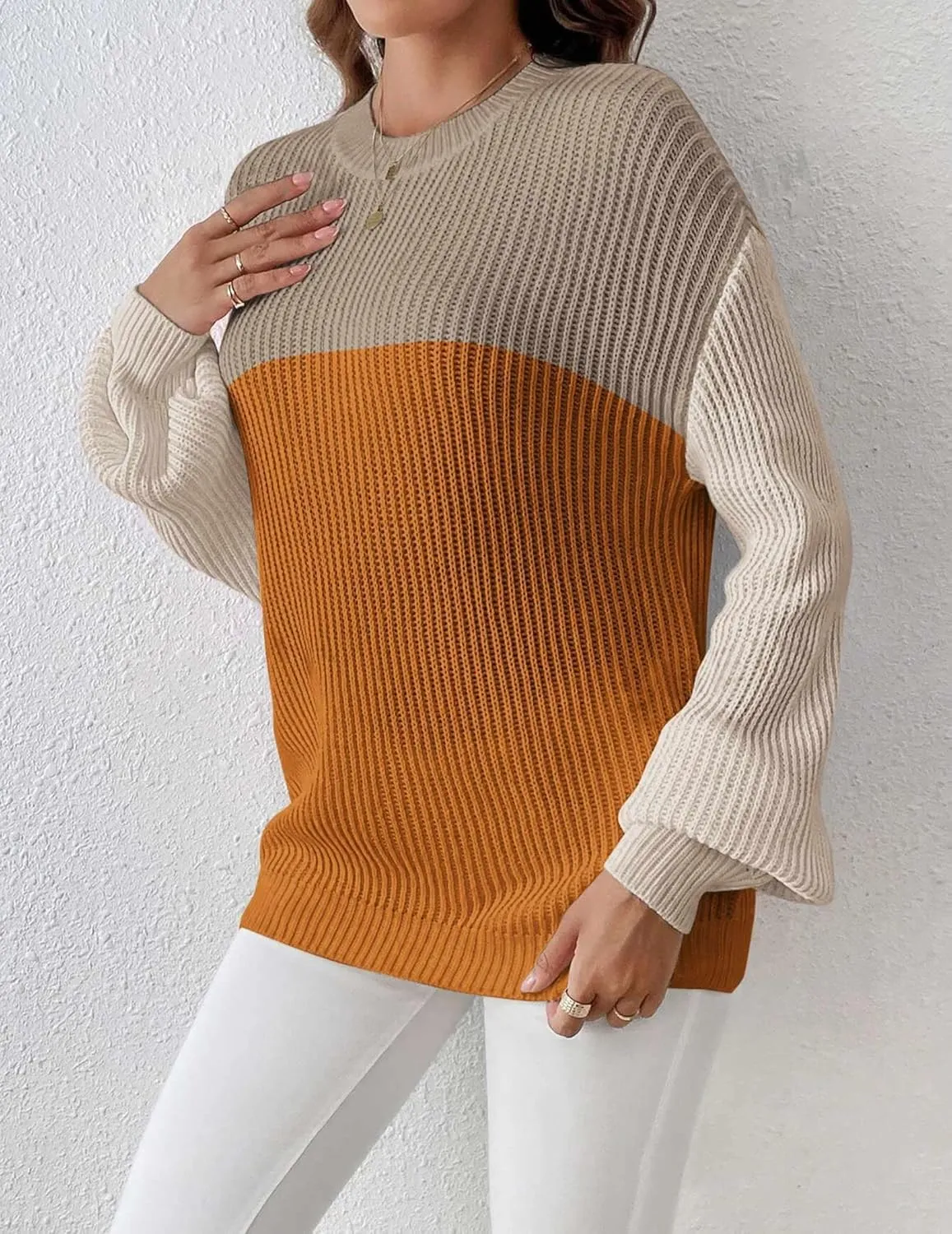 Zeagoo Women 2024 Winter Oversized Sweater Crew Neck Long Sleeve Color Block Pullover Rib Knit Blouse Tops XS-2XL